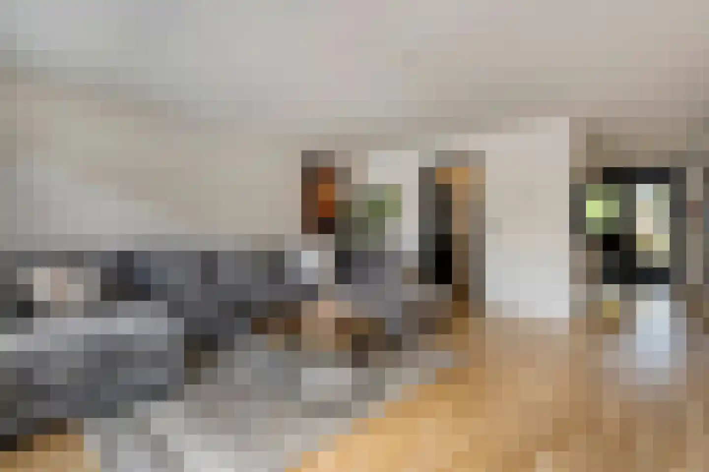 Pijlkruidlaan 46 Enschede thumbnail 13