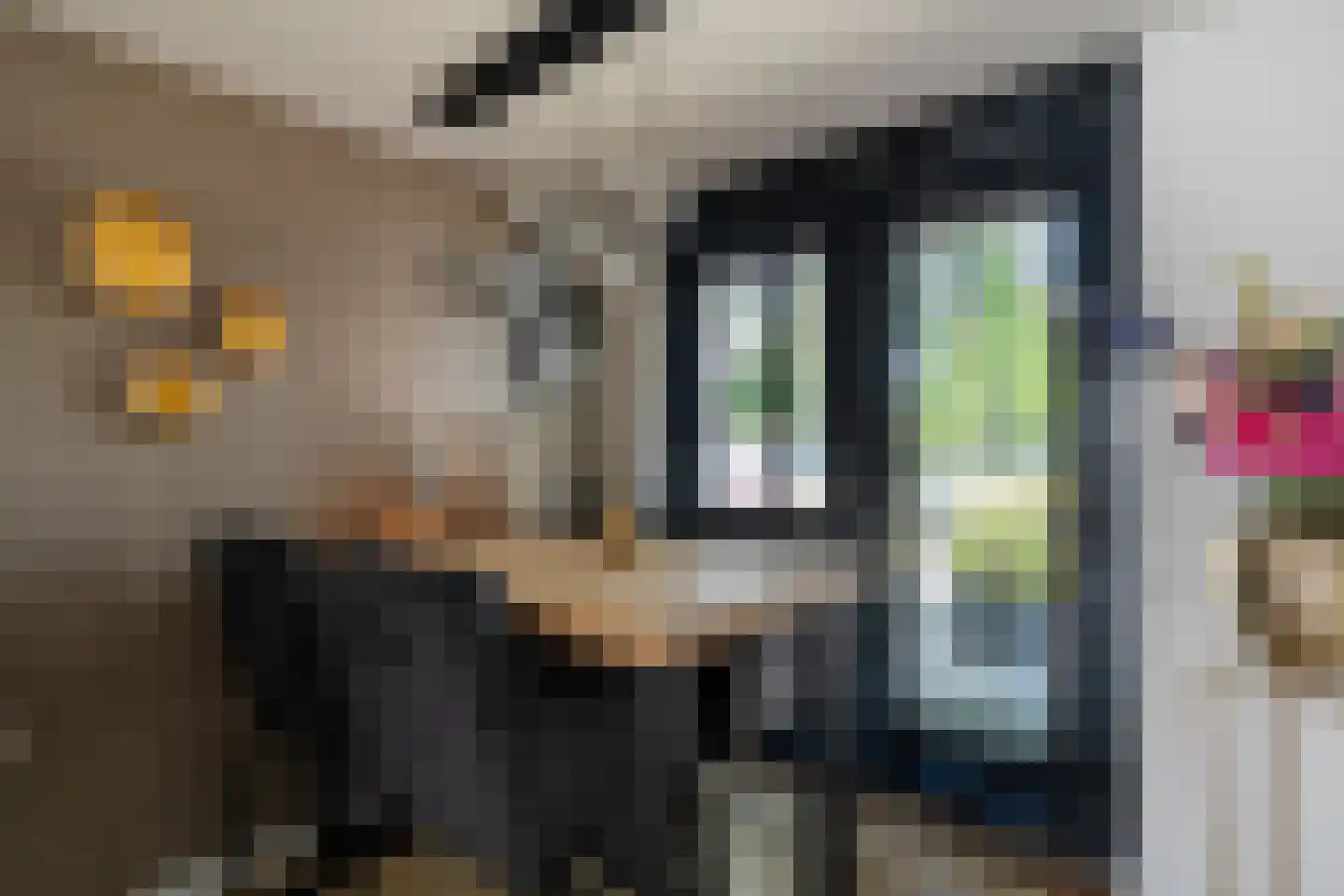Pijlkruidlaan 46 Enschede thumbnail 15