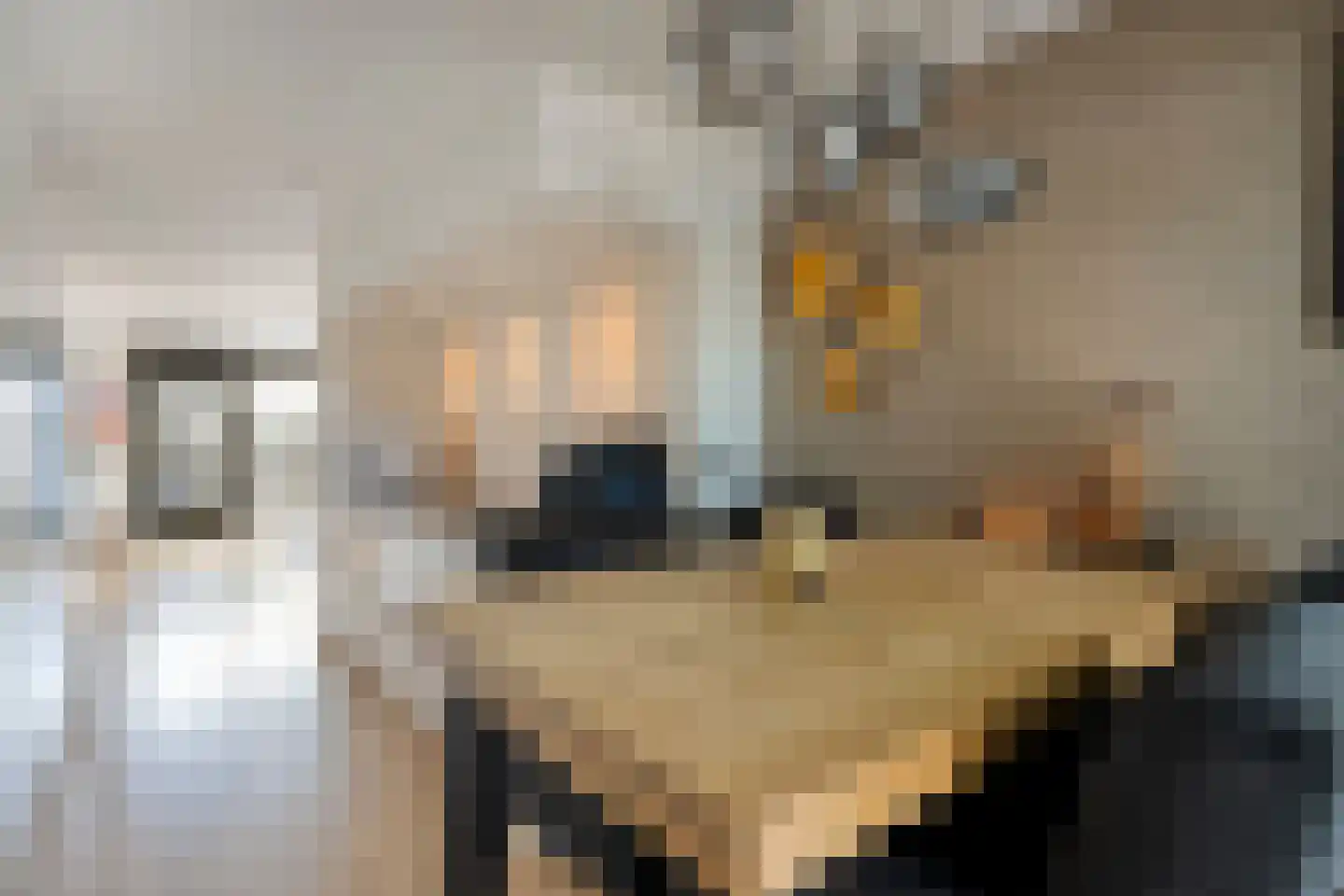 Pijlkruidlaan 46 Enschede thumbnail 16