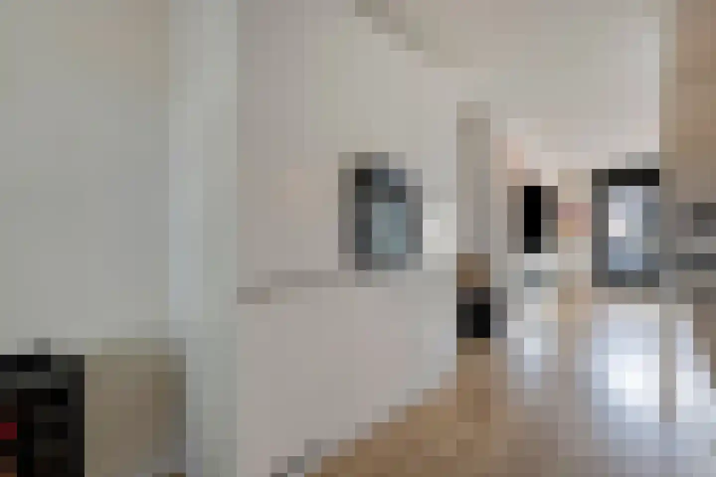 Pijlkruidlaan 46 Enschede thumbnail 17
