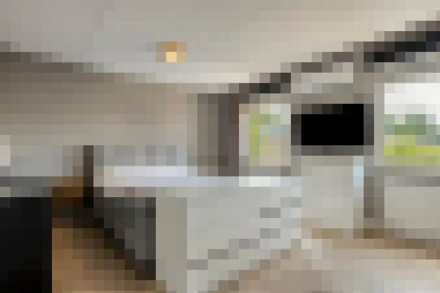 Pijlkruidlaan 46 Enschede thumbnail 22