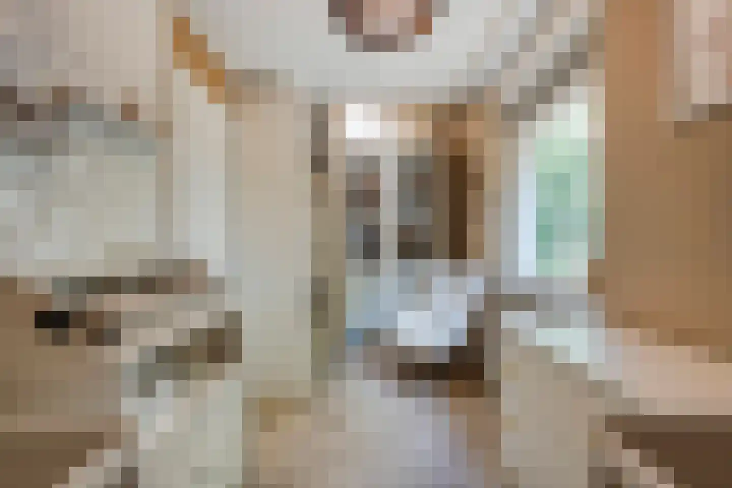 Pijlkruidlaan 46 Enschede thumbnail 25
