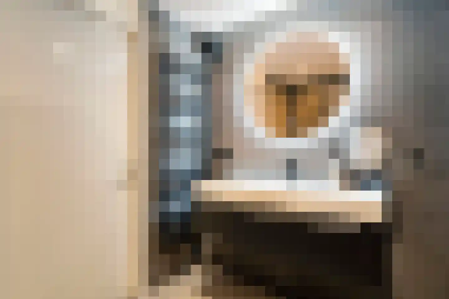Pijlkruidlaan 46 Enschede thumbnail 27