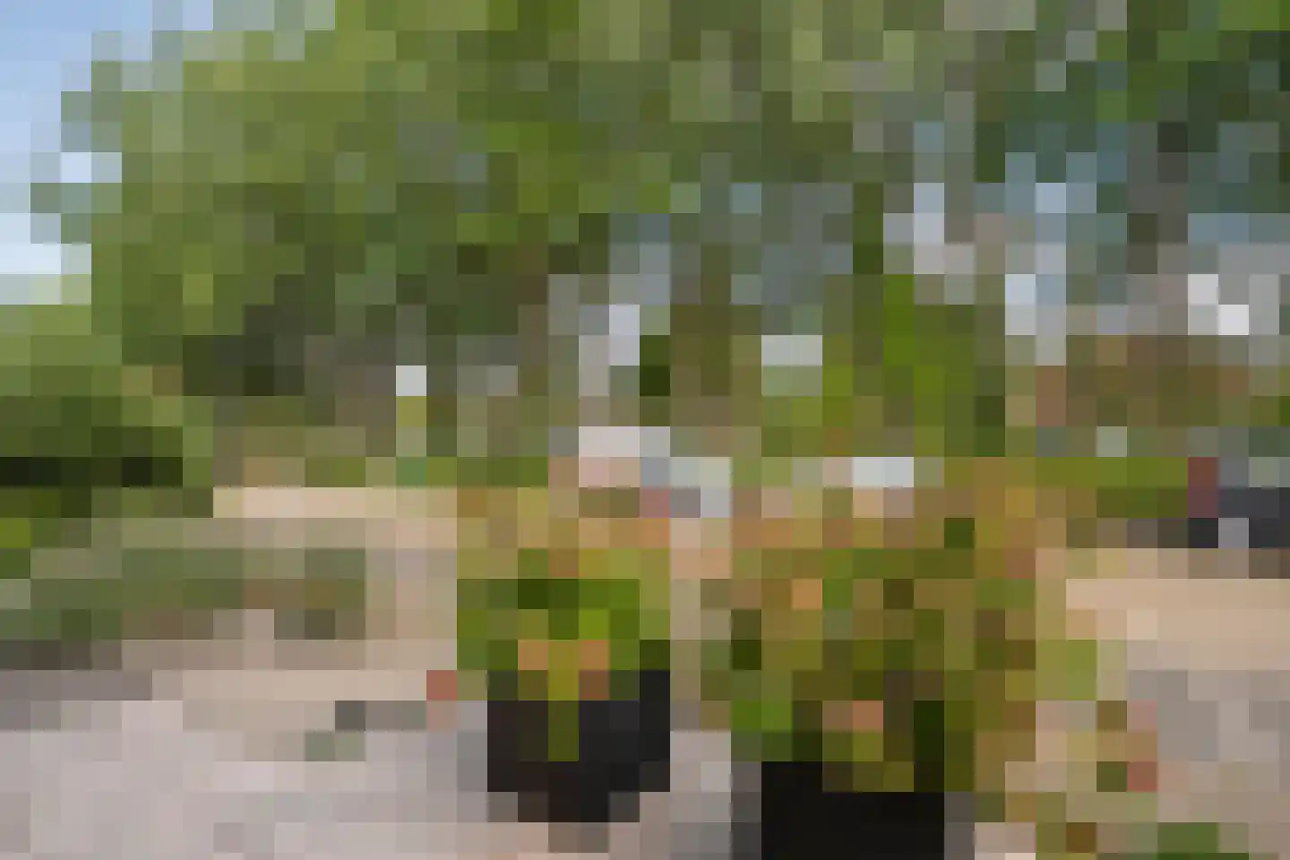 Pijlkruidlaan 46 Enschede thumbnail 35