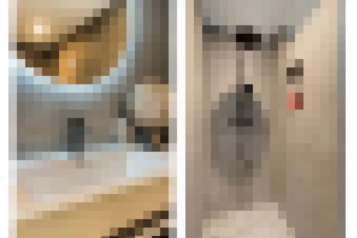 Pijlkruidlaan 46 Enschede thumbnail 5