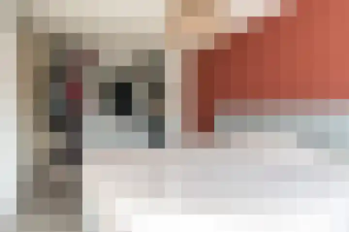 Pijlkruidmeen 25 Harderwijk thumbnail 23