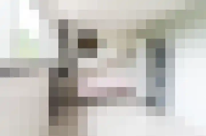 Pijlkruidmeen 25 Harderwijk thumbnail 35