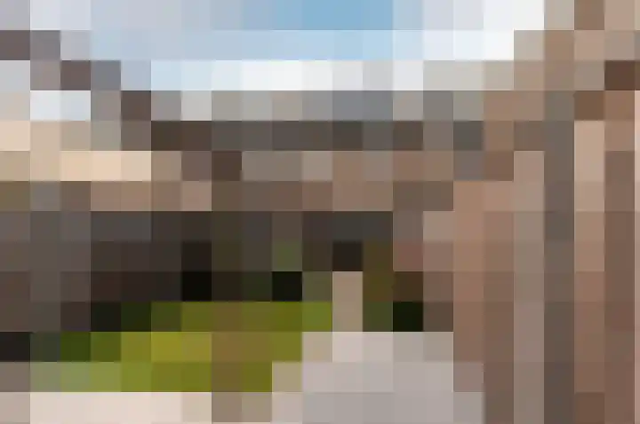 Pijlkruidmeen 25 Harderwijk thumbnail 40