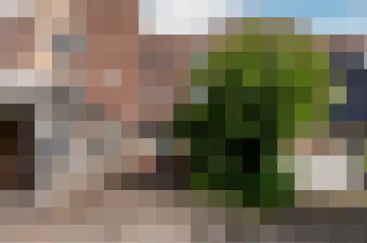 Pijlkruidmeen 25 Harderwijk thumbnail 42