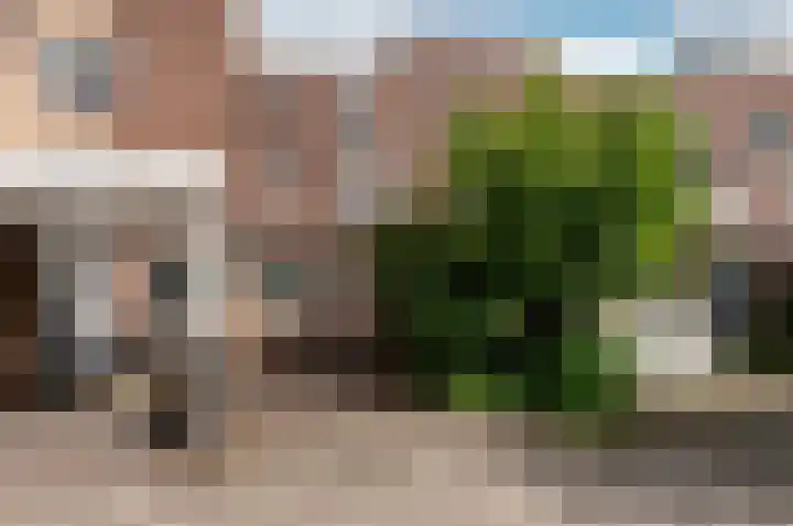Pijlkruidmeen 25 Harderwijk thumbnail 43