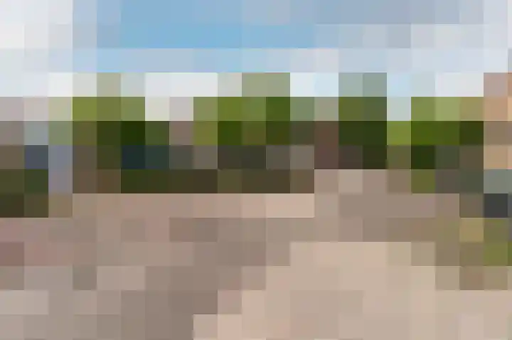 Pijlkruidmeen 25 Harderwijk thumbnail 45