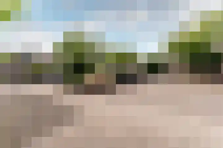 Pijlkruidmeen 25 Harderwijk thumbnail 46