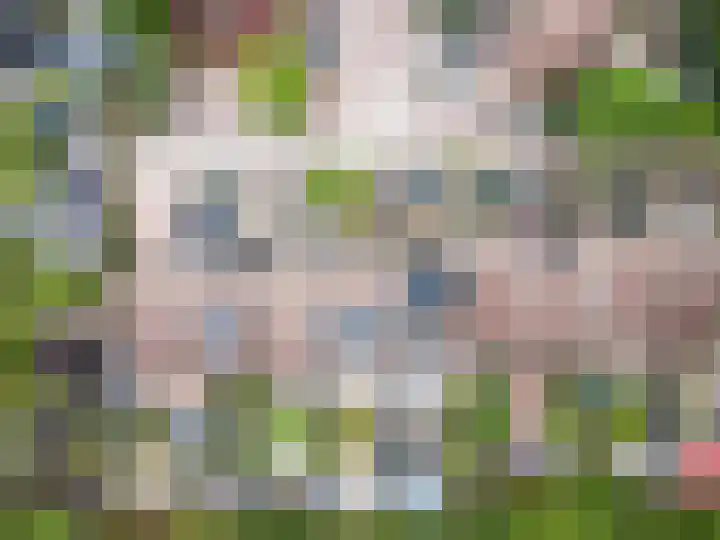 Pijlkruidmeen 25 Harderwijk thumbnail 48