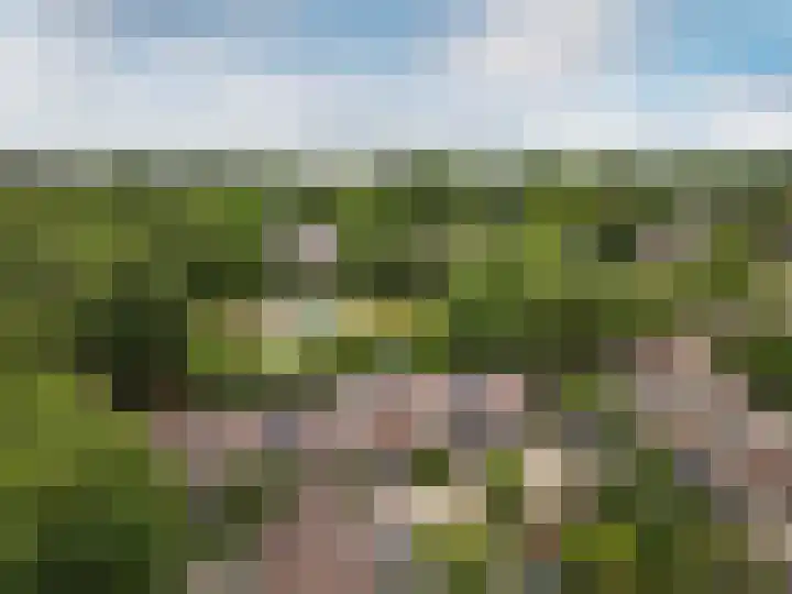 Pijlkruidmeen 25 Harderwijk thumbnail 49