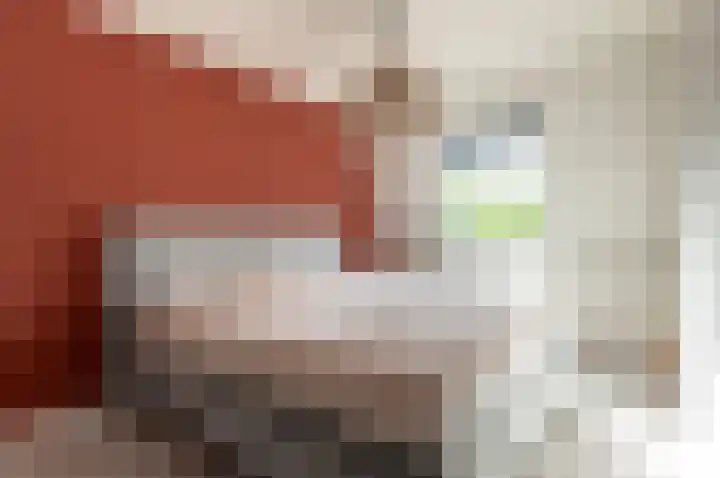 Pijlkruidmeen 25 Harderwijk thumbnail 5