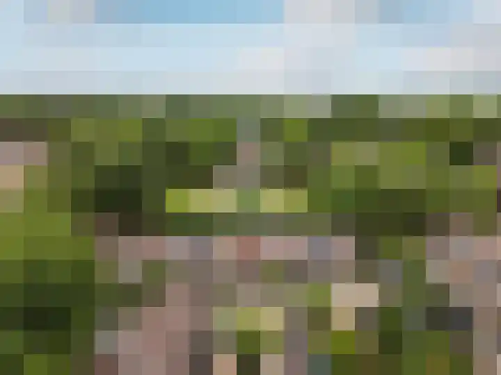 Pijlkruidmeen 25 Harderwijk thumbnail 50