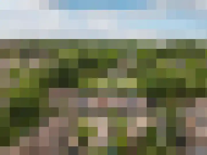Pijlkruidmeen 25 Harderwijk thumbnail 51