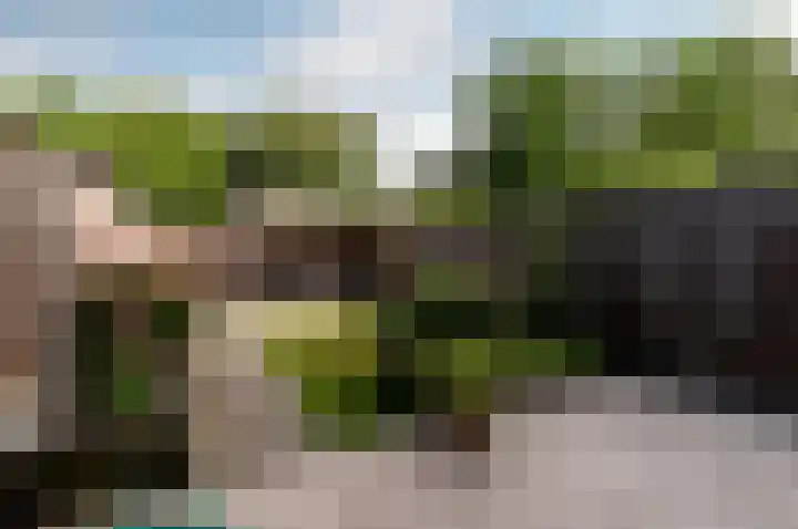 Pijlkruidmeen 25 Harderwijk thumbnail 6