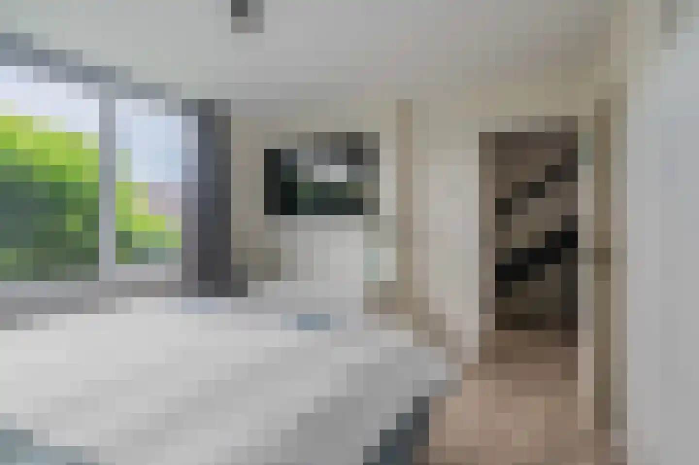 Pijlkruidstraat 16 Assen thumbnail 24