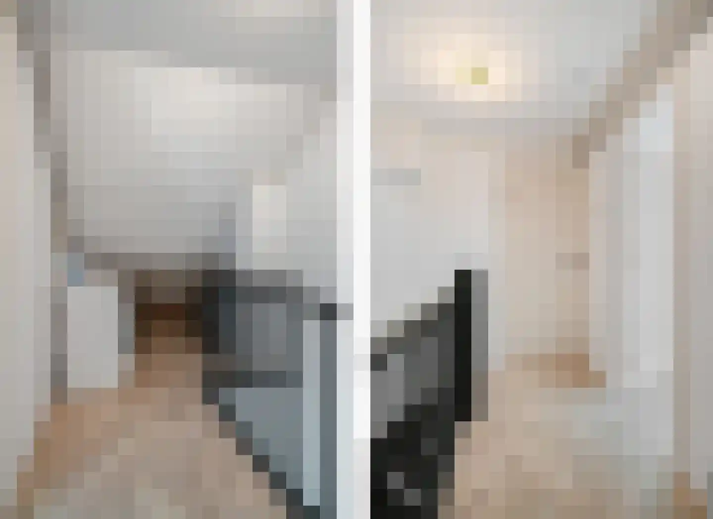 Pijlkruidstraat 16 Assen thumbnail 30