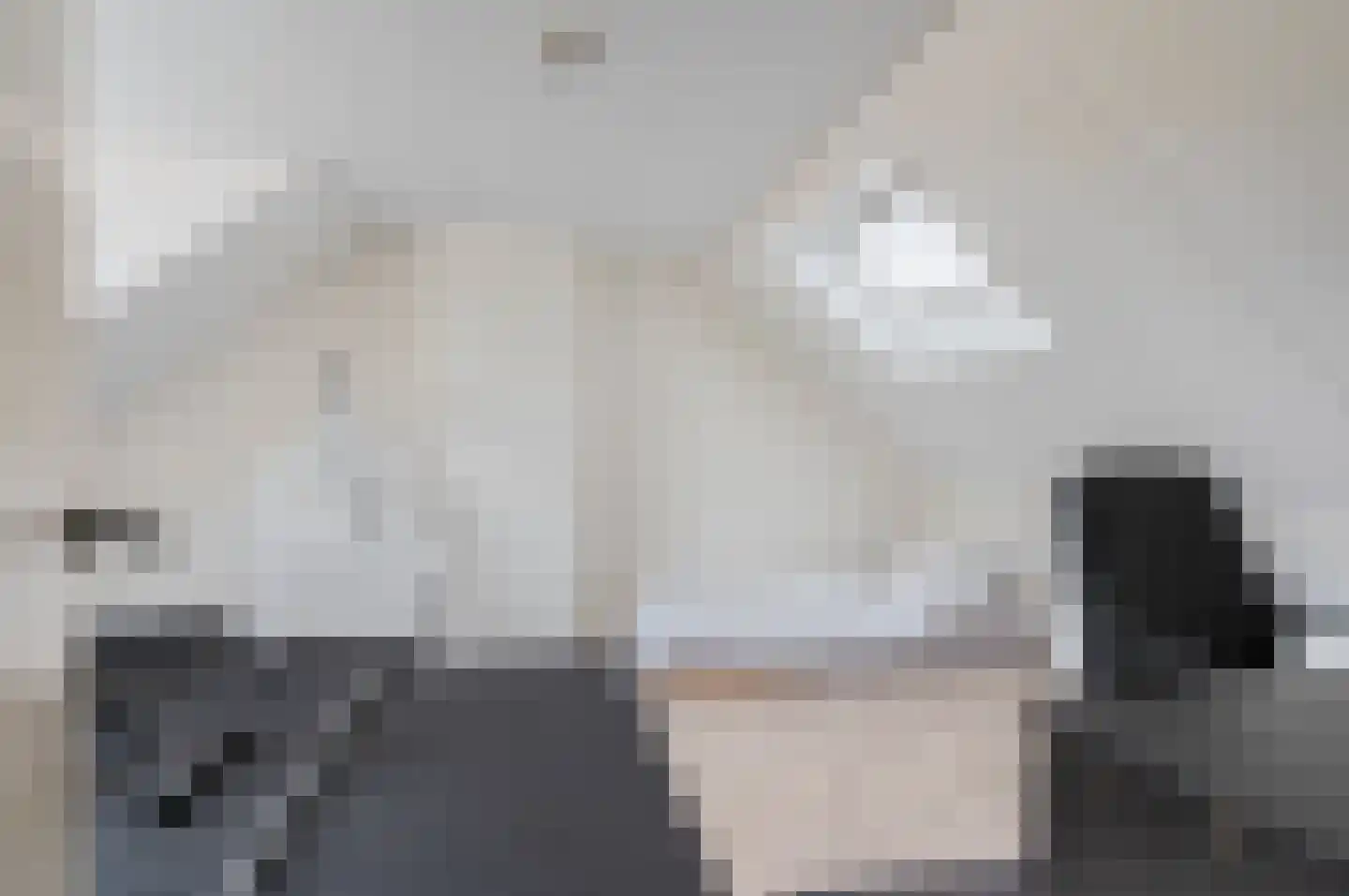 Pijlkruidstraat 16 Assen thumbnail 31