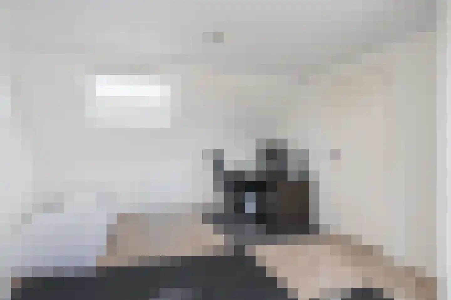 Pijlkruidstraat 16 Assen thumbnail 32