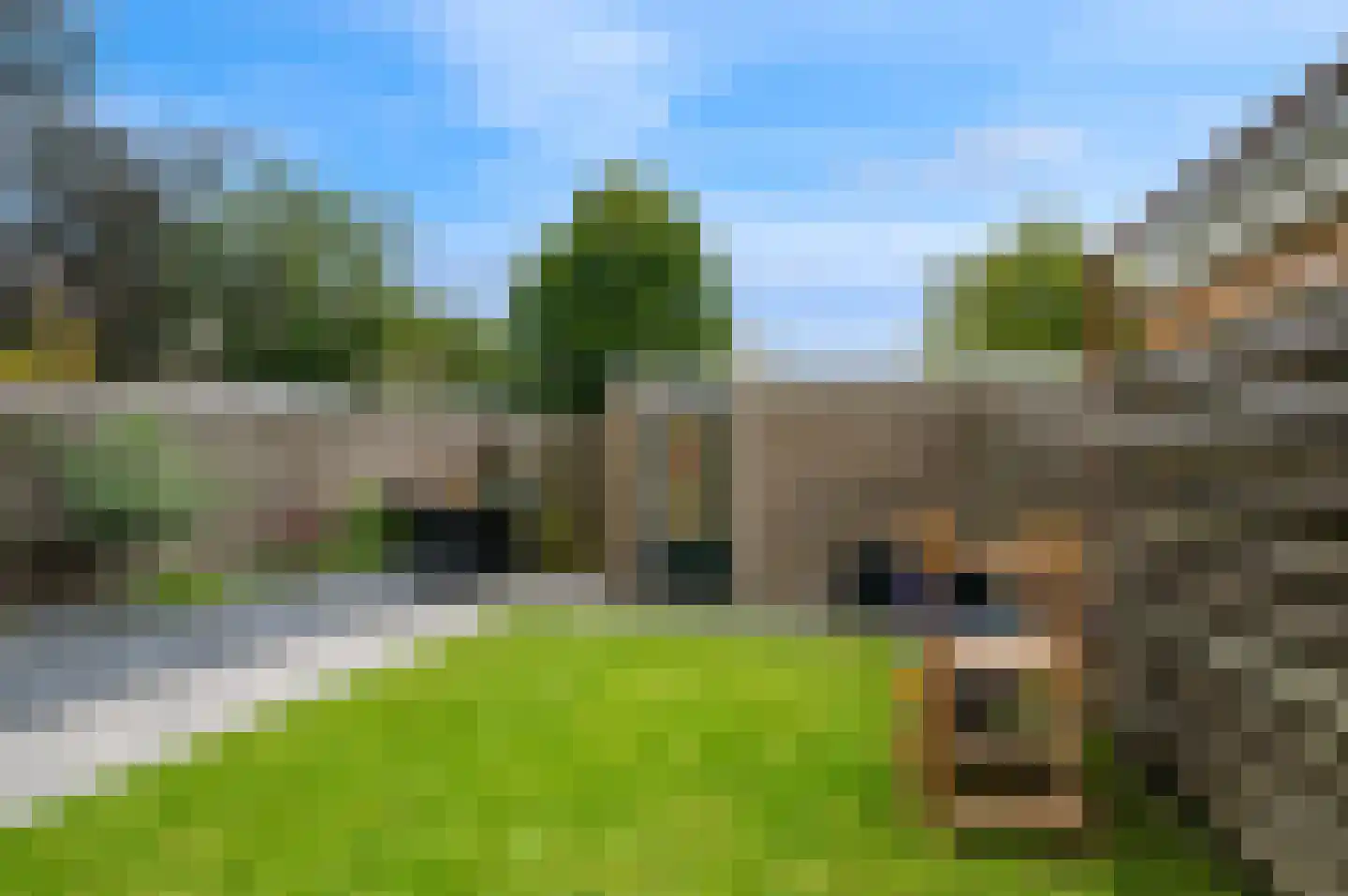 Pijlkruidstraat 16 Assen thumbnail 41