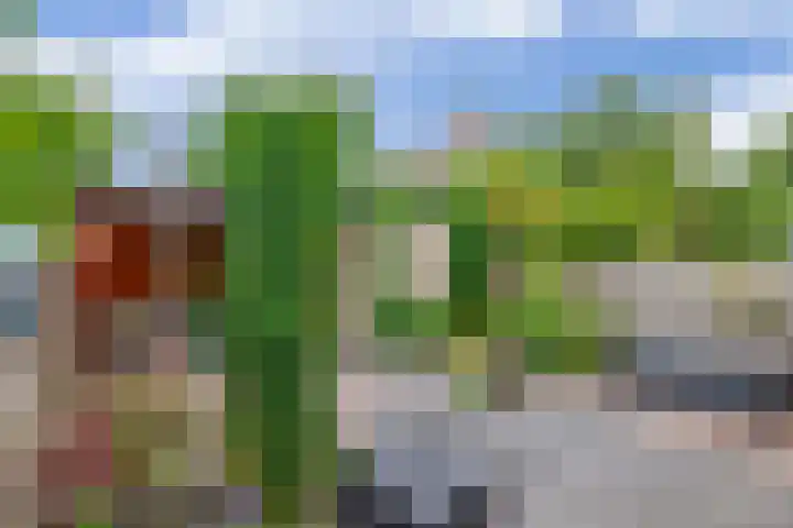 Pijlkruidstraat 17 Berkel en Rodenrijs thumbnail 23