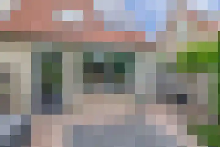 Pijlkruidstraat 17 Berkel en Rodenrijs thumbnail 24