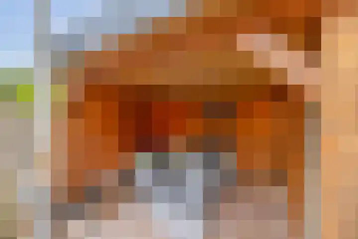 Pijlkruidstraat 17 Berkel en Rodenrijs thumbnail 26