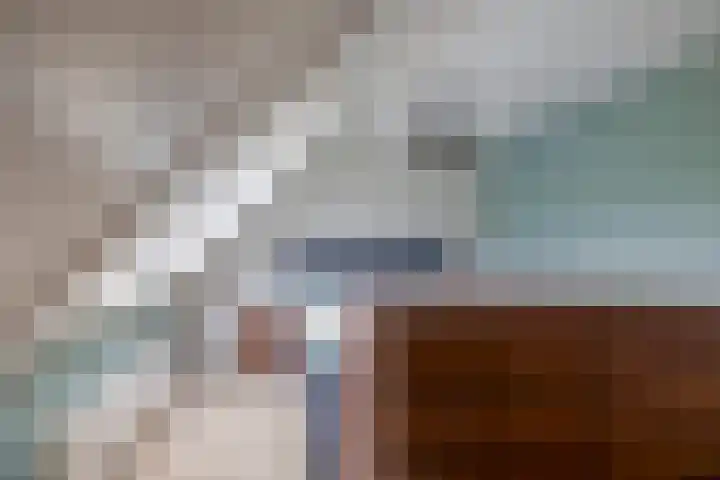 Pijlkruidstraat 17 Berkel en Rodenrijs thumbnail 33