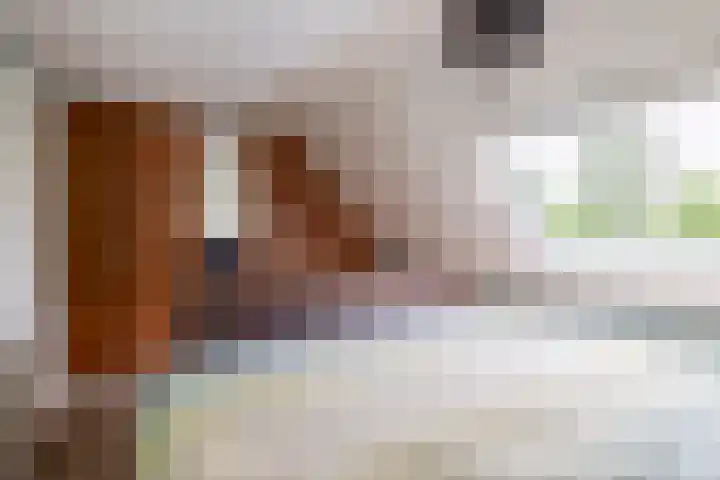 Pijlkruidstraat 17 Berkel en Rodenrijs thumbnail 34