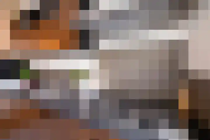 Pijlkruidstraat 19 Almelo thumbnail 13