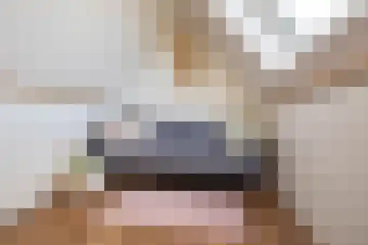 Pijlkruidstraat 19 Almelo thumbnail 21