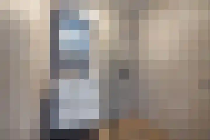 Pijlkruidstraat 19 Almelo thumbnail 4