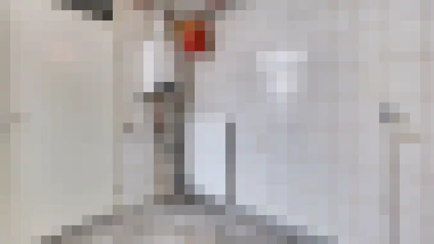 Pijlkruidstraat 3 Almelo thumbnail 13