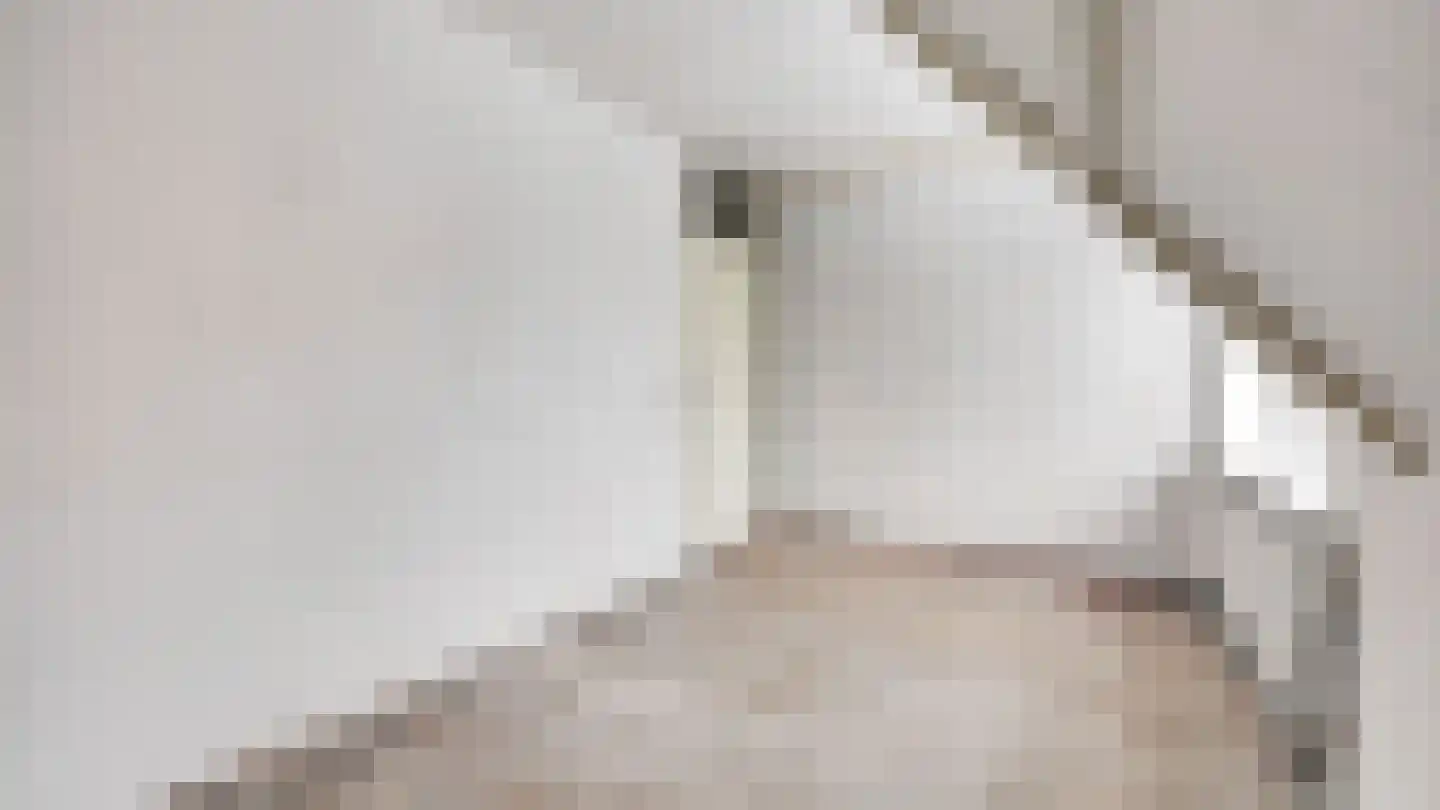 Pijlkruidstraat 3 Almelo thumbnail 21