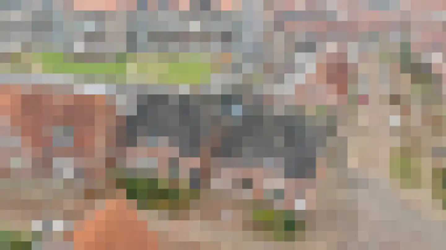 Pijlkruidstraat 3 Almelo thumbnail 35