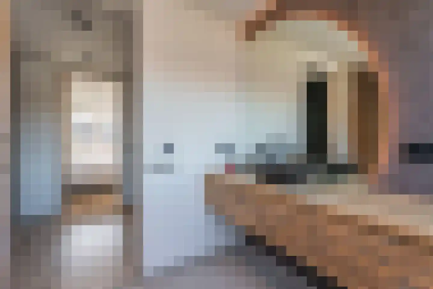 Pijlkruidstraat 33 Voorhout thumbnail 20