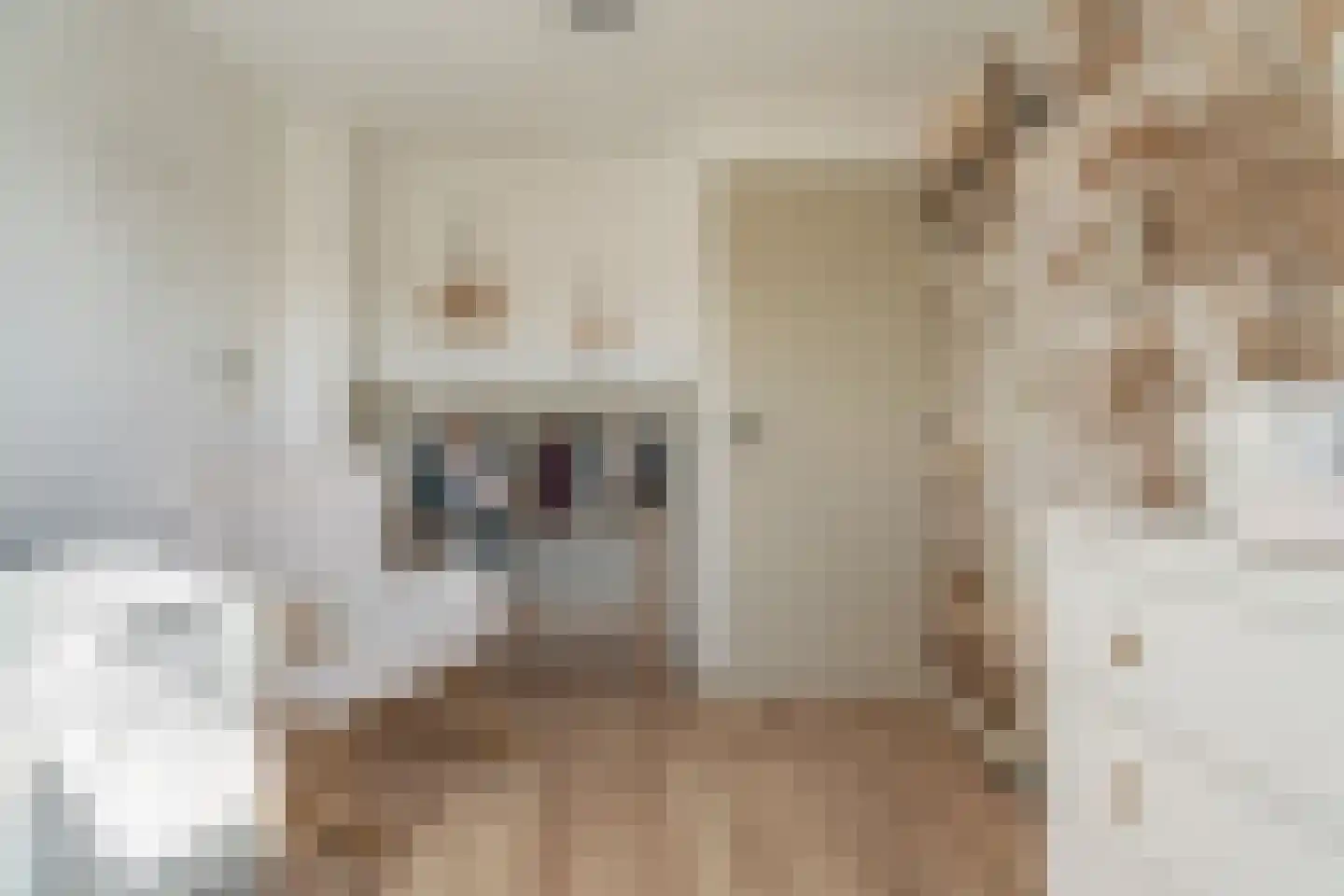 Pijlkruidstraat 33 Voorhout thumbnail 24