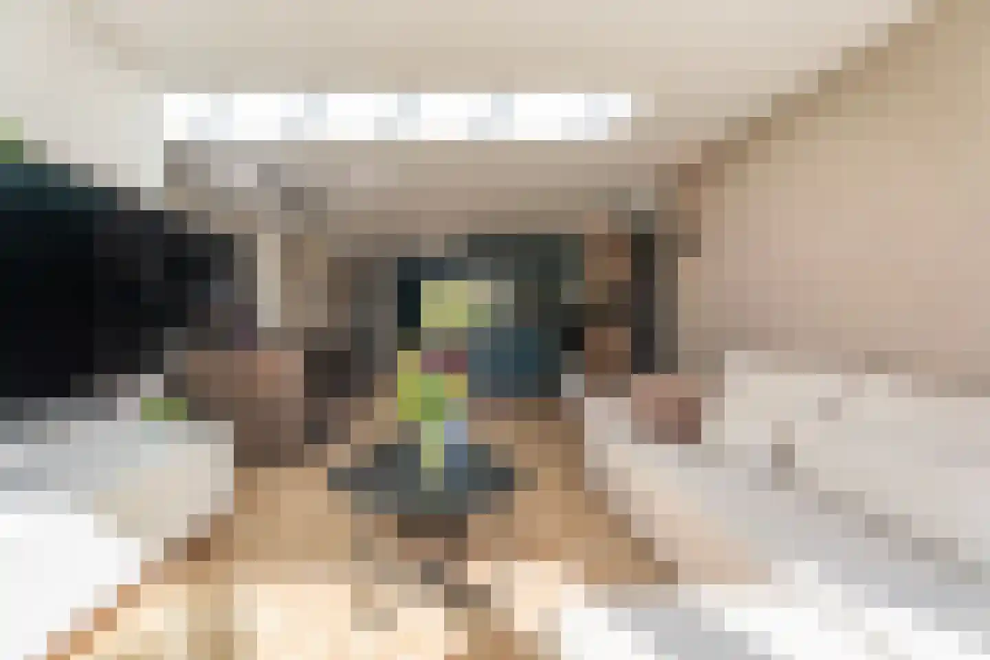 Pijlkruidstraat 33 Voorhout thumbnail 4