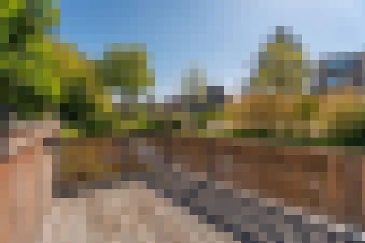 Pijlkruidstraat 33 Voorhout thumbnail 40