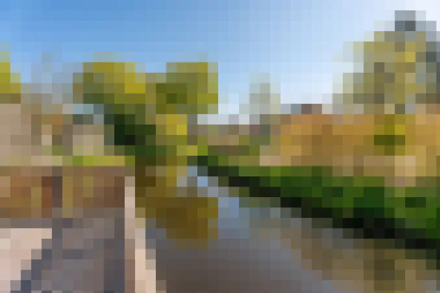 Pijlkruidstraat 33 Voorhout thumbnail 41