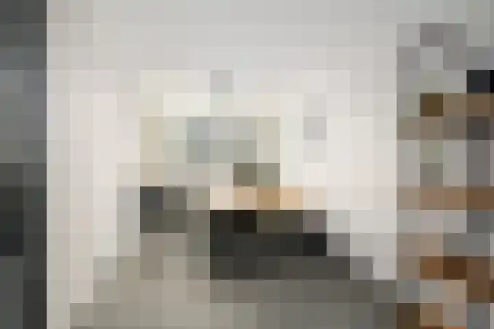 Pijlkruidstraat 42 Berkel en Rodenrijs thumbnail 11