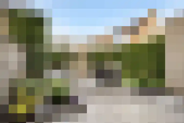 Pijlkruidstraat 42 Berkel en Rodenrijs thumbnail 31