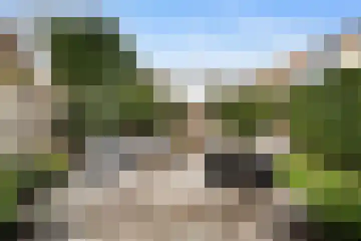 Pijlkruidstraat 42 Berkel en Rodenrijs thumbnail 33