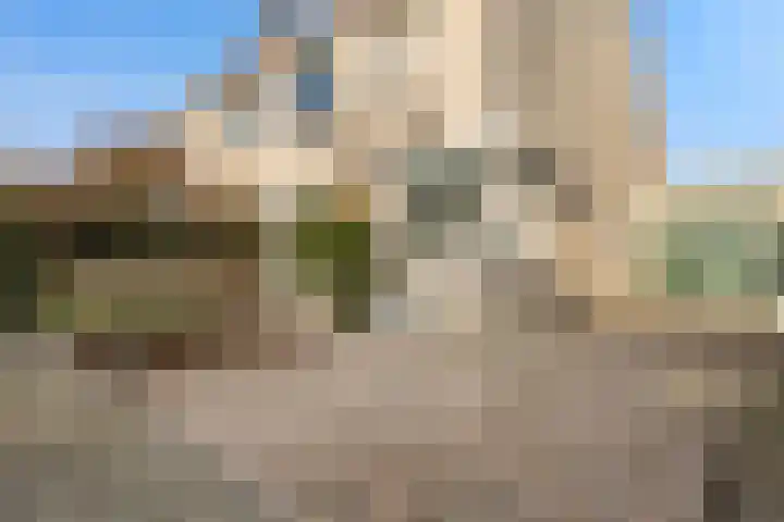 Pijlkruidstraat 42 Berkel en Rodenrijs thumbnail 36