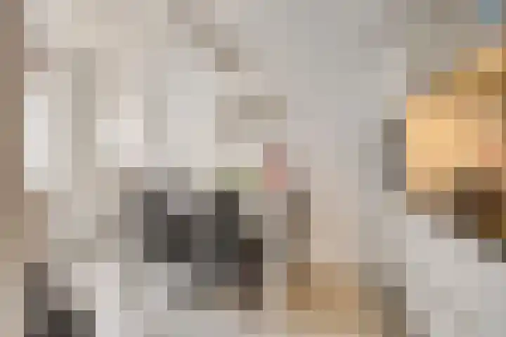 Pijlkruidstraat 53 Almelo thumbnail 11