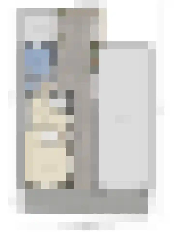 Pijlkruidstraat 53 Almelo thumbnail 33