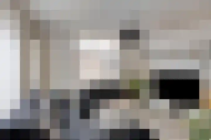 Pijlkruidstraat 53 Almelo thumbnail 7